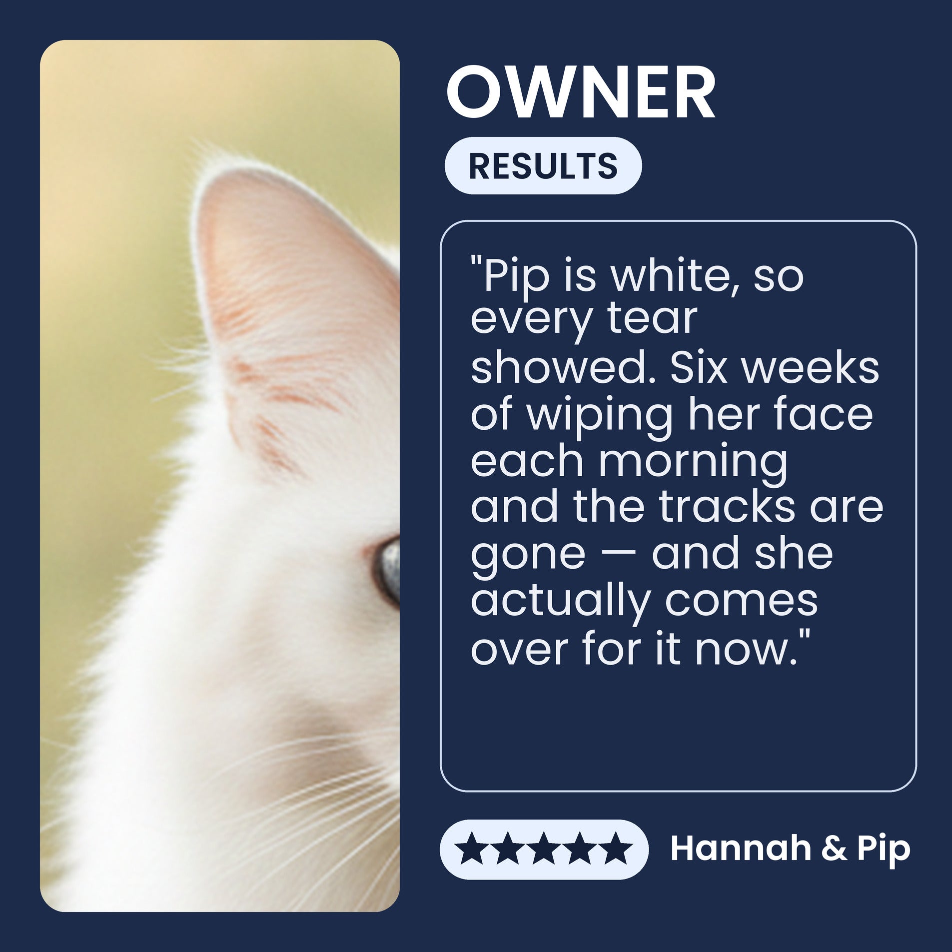 Owner testimonial about Pawsy Bright Eyes tear stain wipes