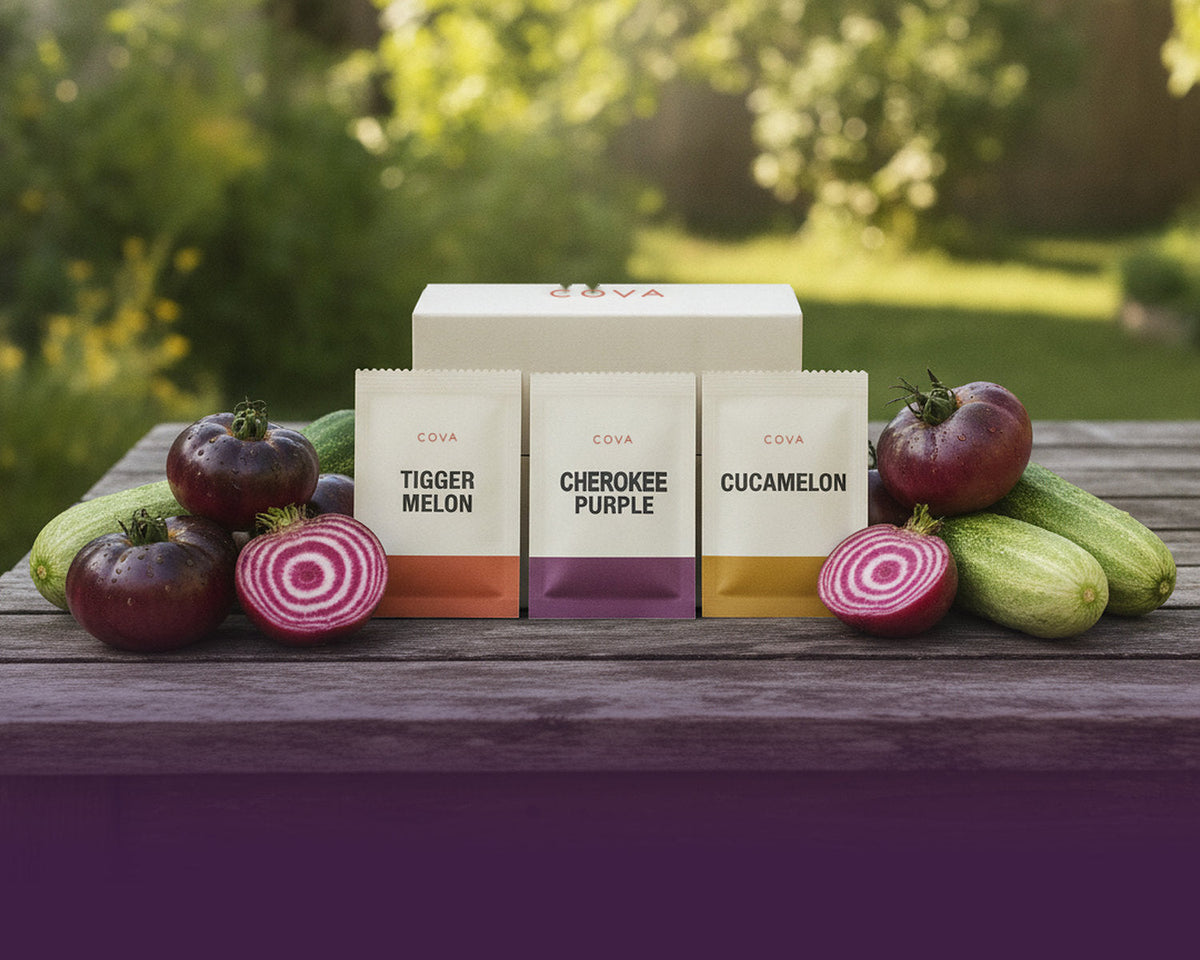 COVA seed box with three seed packets and fresh heirloom vegetables on a garden table
