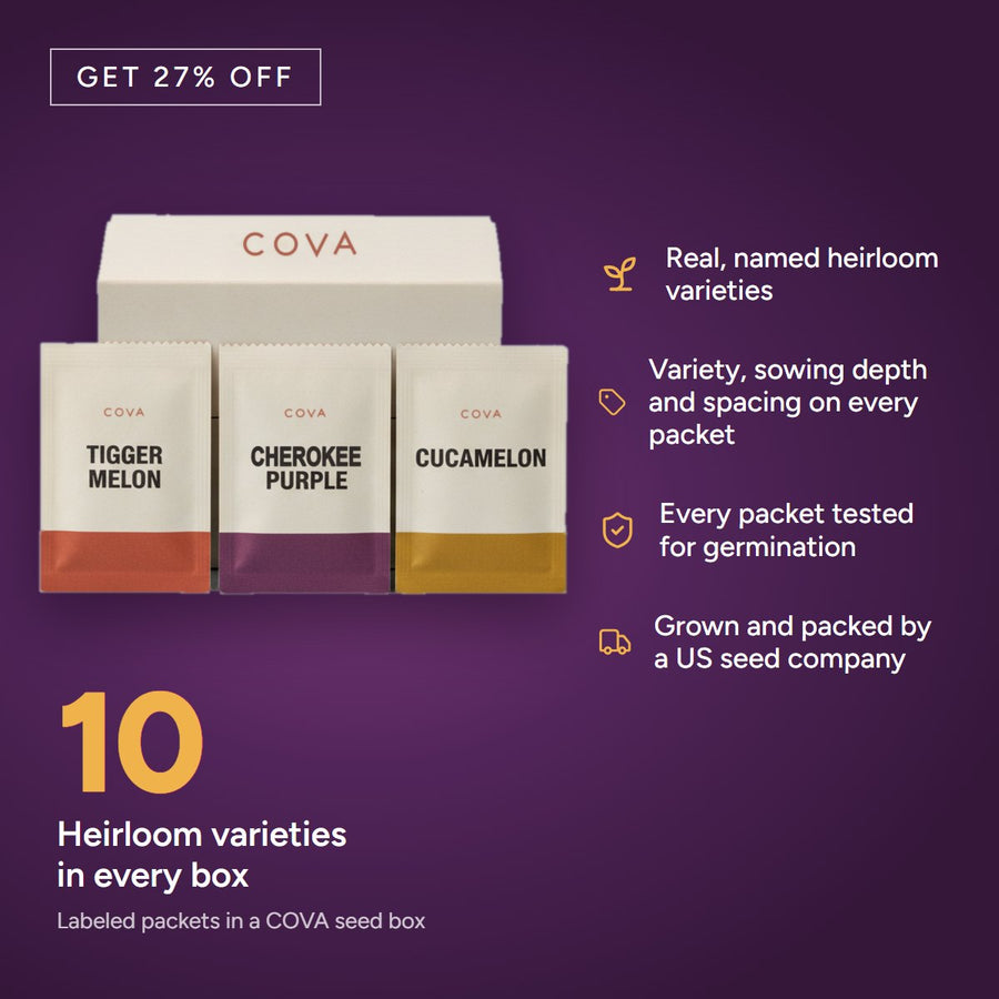 COVA seed box with three labeled seed packets: Tigger melon, Cherokee Purple and cucamelon