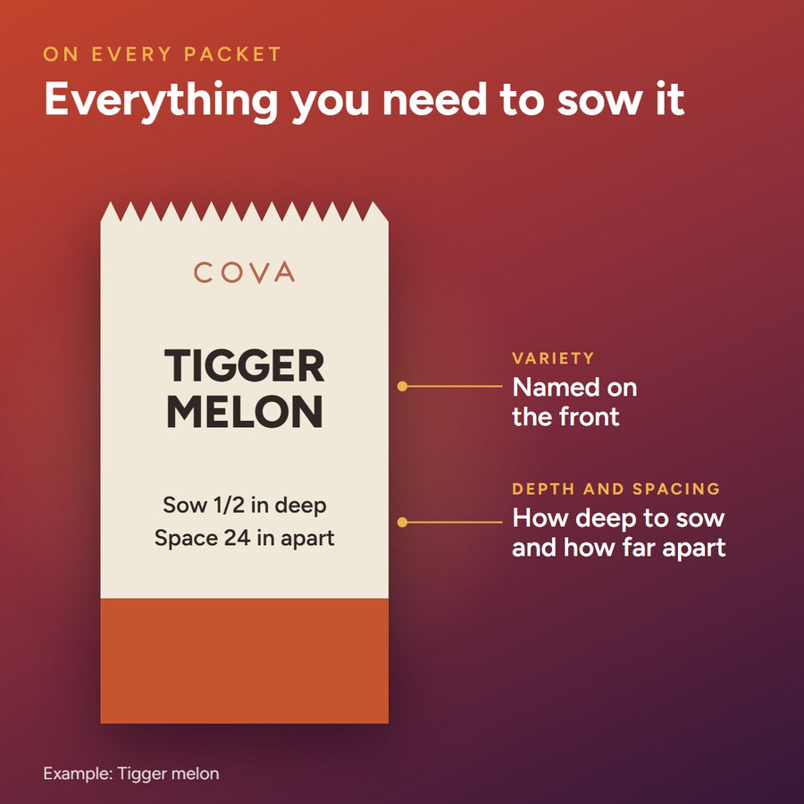 A COVA seed packet showing the variety name, sowing depth and spacing on the label