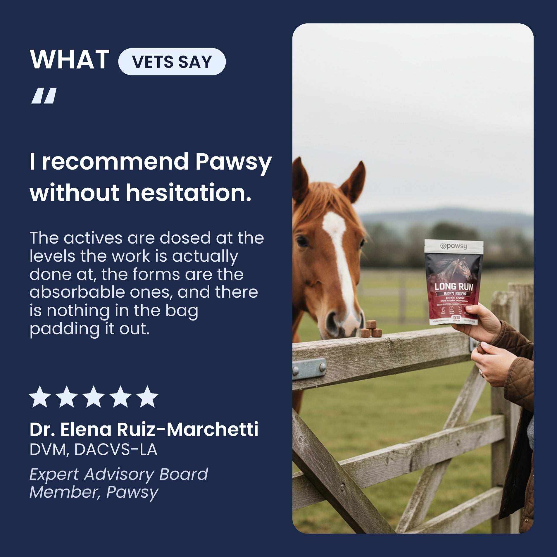 Equine veterinarian recommendation for Pawsy Long Run apple soft chews